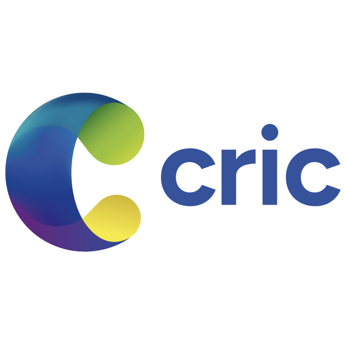Logo for Corporate Responsibility Interface Center