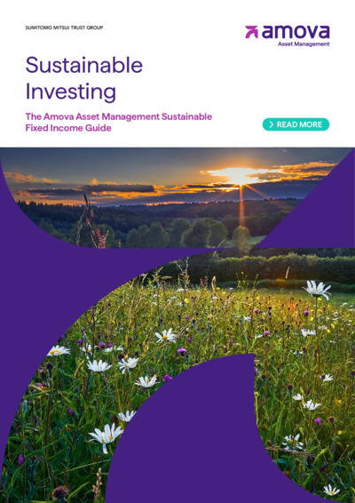 Front page of report 'Sustainable Investing'