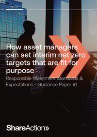 Front page of report 'How asset managers can set interim net zero targets that are fit for purpose'