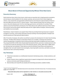 Front page of report 'Bison Bond: A Financial Opportunity Whose Time Has Come'