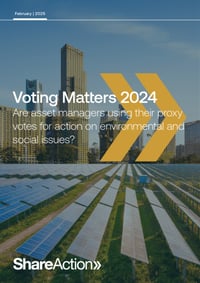 Front page of report 'Voting Matters 2024'