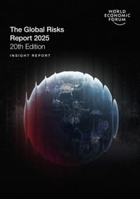 Front page of report 'The Global Risks Report 2025'