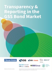 Front page of report 'Transparency & Reporting in the GSS Bond Market'