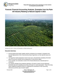 Front page of report 'Forensic Financial Accounting Analysis: Examples from the Palm Oil Industry Relating to Natural Capital in 2023'
