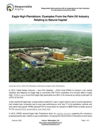 Front page of report 'Eagle High Plantations: Financial Accounting'