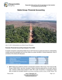 Front page of report 'Noble Group: Financial Accounting'