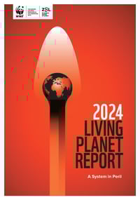 Front page of report '2024 LIVING PLANET REPORT'