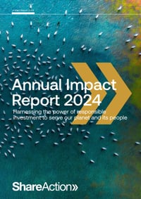 Front page of report 'Annual Impact Report 2024'