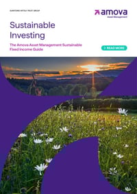 Front page of report 'Sustainable Investing'