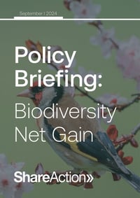 Front page of report 'Biodiversity Net Gain'