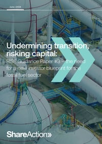 Front page of report 'Undermining transition, risking capital'
