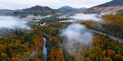 Cover for MEAG builds forestry portfolio in Scotland