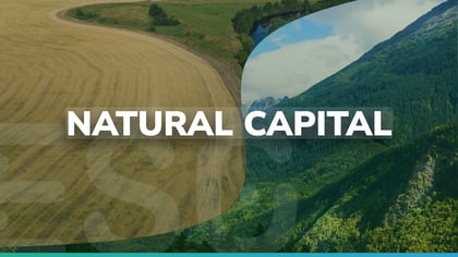Cover for Fact Findings zur aktuellen Situation bei Natural Capital Managern