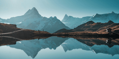 Cover for Investors Look to Nature to Shield Against Growing Financial Risks