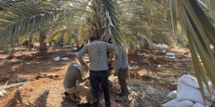 Cover for Scaling Impact in Jordan’s Agricultural Sector Through the Refugee Investment Facility