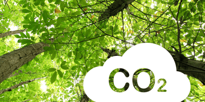 Cover for Buch räumt auf mit fünf Irrtümern zur CO₂-Bepreisung