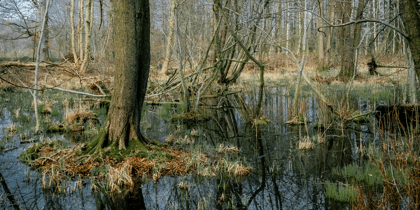 Cover for Klimaschutzprogramm 2026 in Deutschland beschlossen