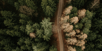 Cover for Area affected by wildfires in Europe could almost triple due to climate change