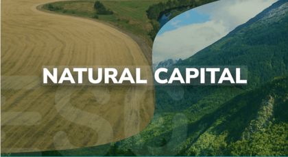 Cover for Asset Manager Update und Investment-Strategien bei Natural Capital 
