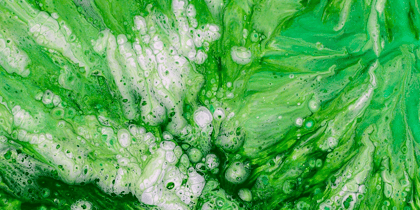 Cover for Greenwashing Legislation Trends: Key Takeaways for Businesses