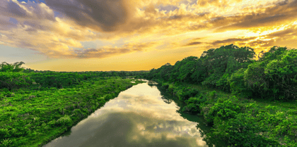 Cover for WRI: What Should the 2025 UN Climate Summit Achieve?