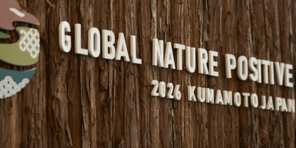 Cover for Accountability for impacts is essential to secure a nature-positive future