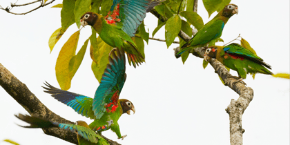 Cover for From a Niche Practice to a Systemic Consideration