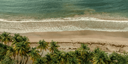 Cover for COP30 showed that climate cooperation is alive and kicking