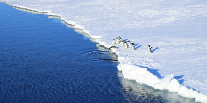 Cover for Ask David: What do leaders need to know about climate tipping points?