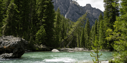 Cover for Forest Resilience Bonds Strengthen Communities Before Wildfire Strikes