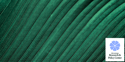 Cover for 