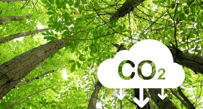Cover for India and Japan working towards decarbonization 