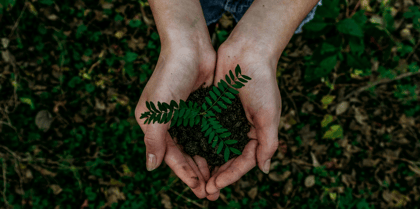 Cover for Development Banks Have a Bigger Role to Play in Protecting Nature