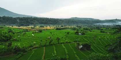 Cover for SBTi issues call for input to inform revision of Forest, Land and Agriculture Standard