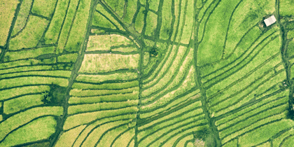 Cover for FNG-Siegel: 17 mal Bestnote für nachhaltige Erste Asset Management Fonds