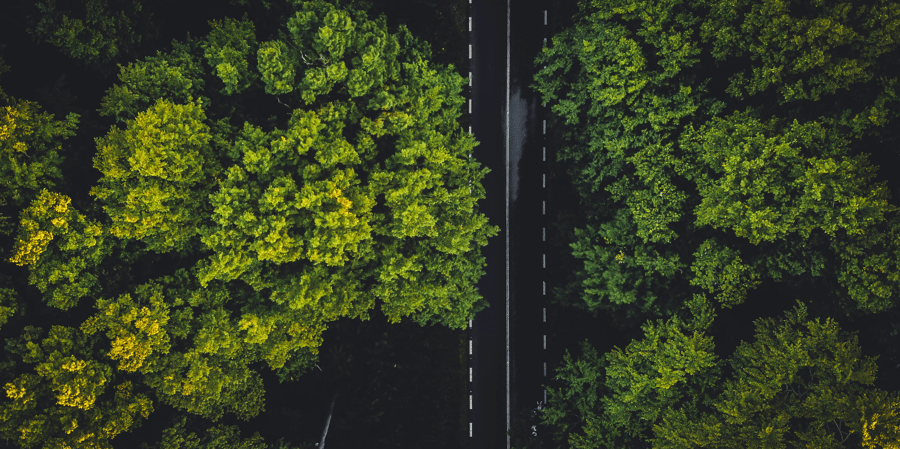 Europe must not put a regulatory seal on greenwashing