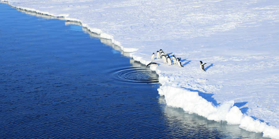 Ask David: What do leaders need to know about climate tipping points?