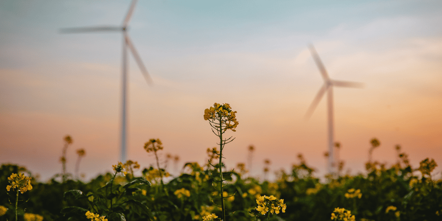 What's at Stake at the Next UN Climate Summit (COP31)? Experts Weigh In