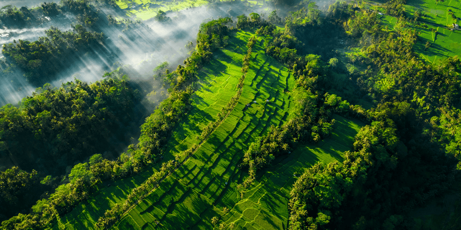 Making corporate land action count