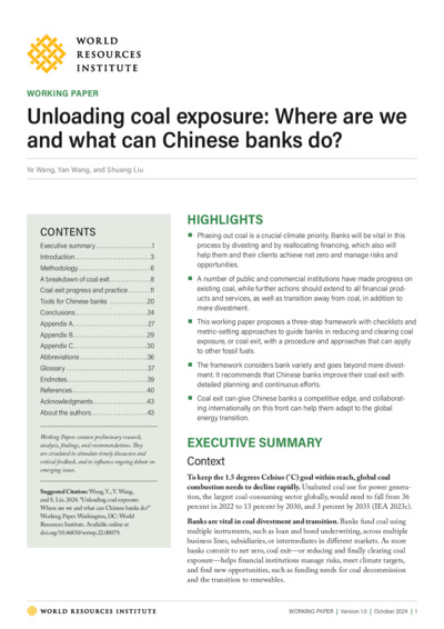 Front page of report 'Unloading coal exposure'