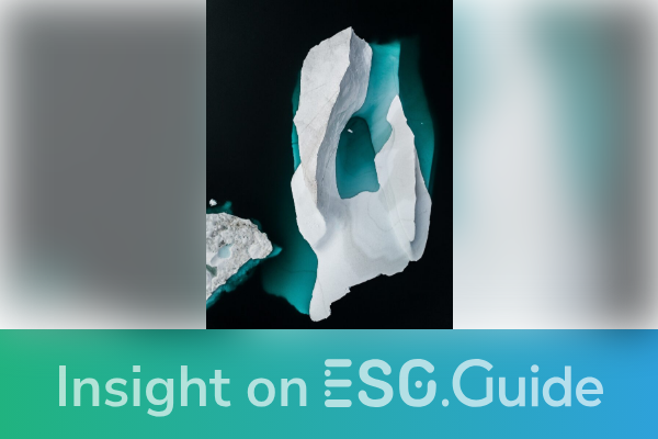 NGFS Promotes Environmental Risk Analysis in Financial Industry | ESG.Guide