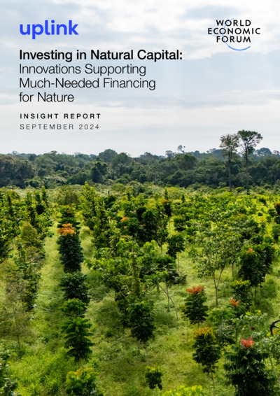 Front page of report 'Investing in Natural Capital'