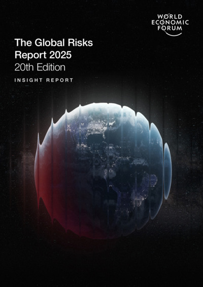 Front page of report 'The Global Risks Report 2025'